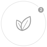 下载imToken